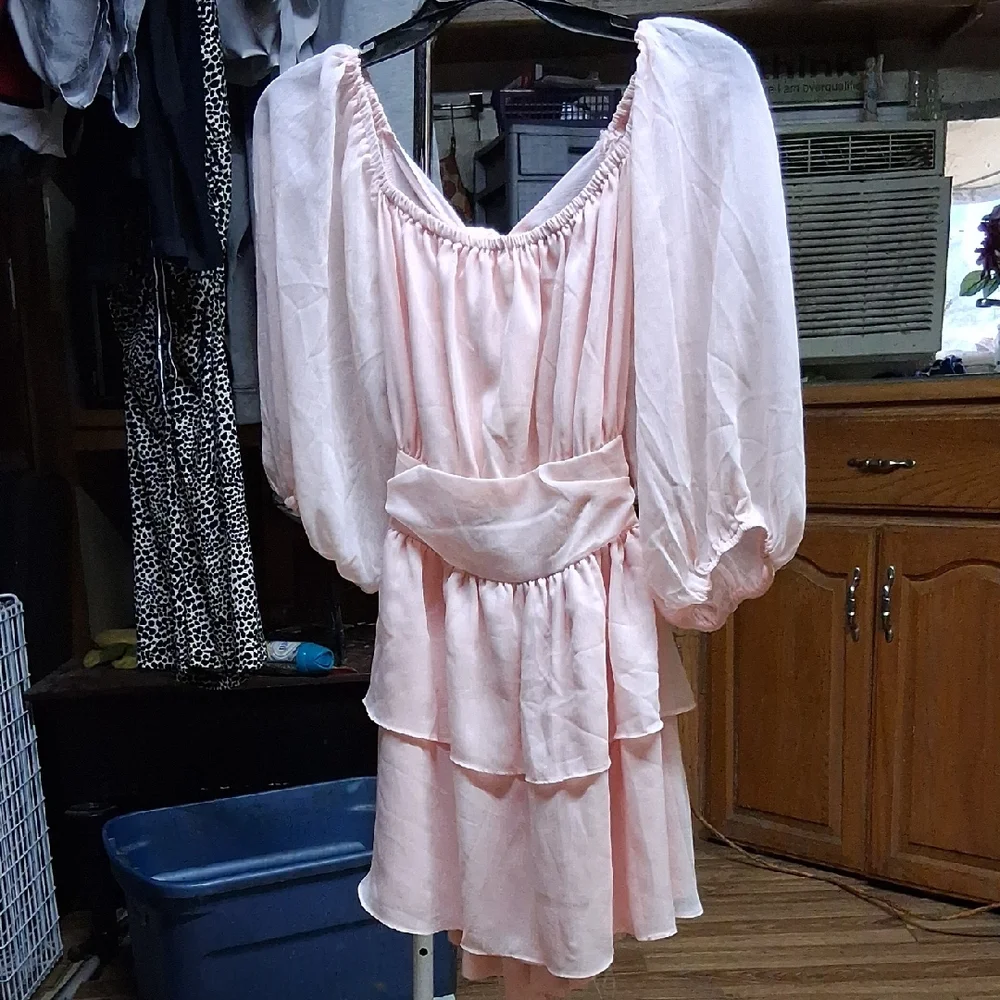 Elegant Pink Ruffled Dress - Picture 1 of 3